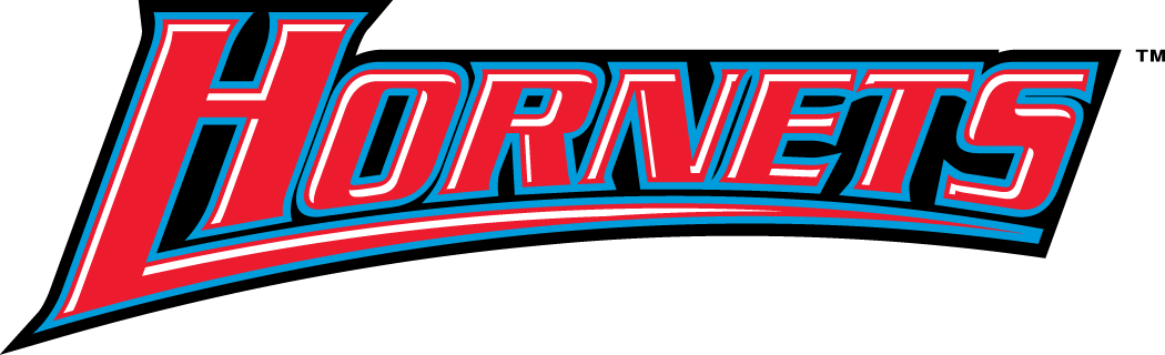 Delaware State Hornets 2004-Pres Wordmark Logo v3 iron on transfers for T-shirts